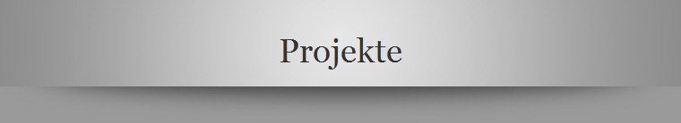 Projekte